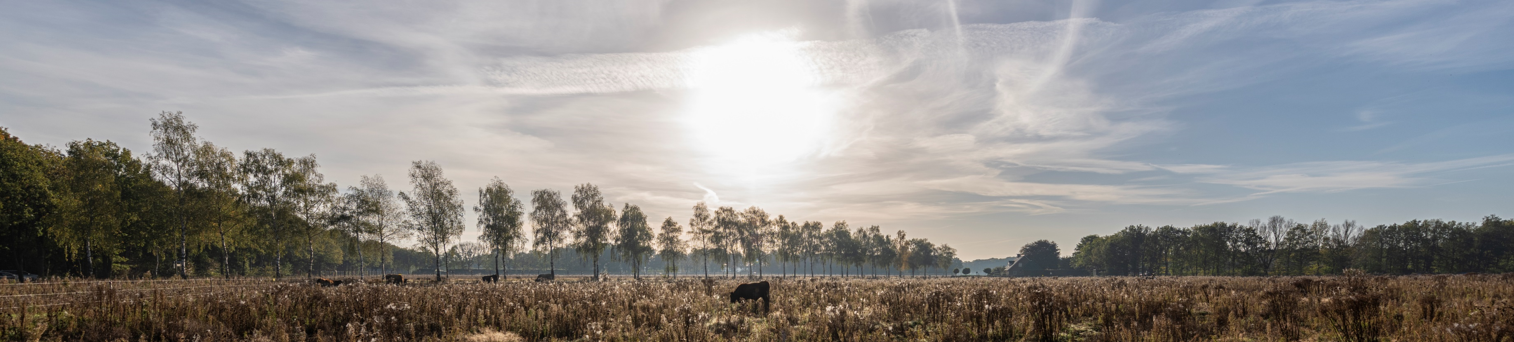 Explore Maashorst Master – Onze dorpen